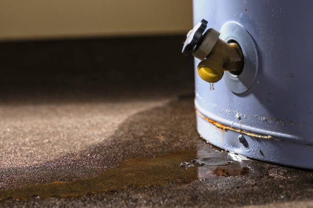 White Marsh, MD Water damage restoration Pros
