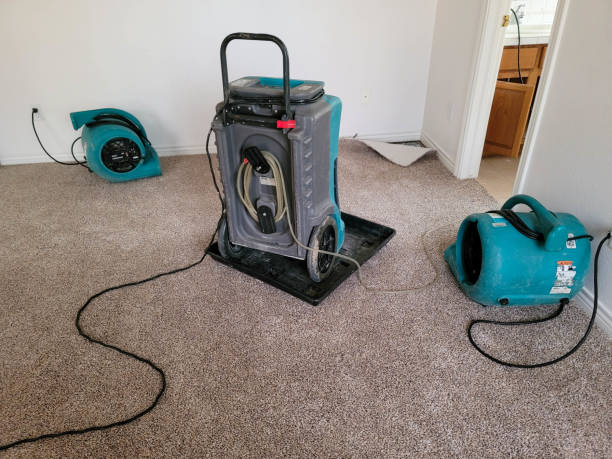 Best Fire Damage Restoration  in White Marsh, MD