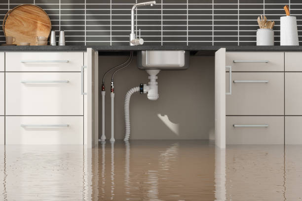 Best Sewage cleanup and water damage restoration  in White Marsh, MD